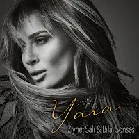 Ziynet Sali